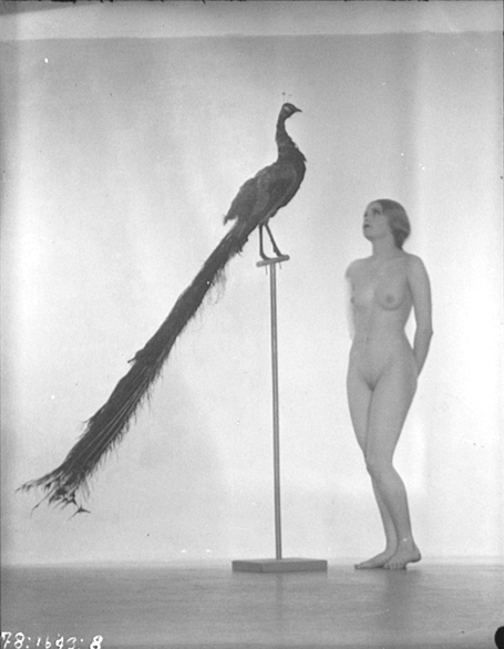 Nude With Peacock.